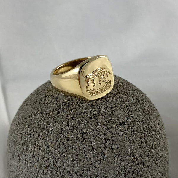 Family Crest Surface Engraved 12mm x 11mm  -  9 Carat Yellow Gold Signet Ring